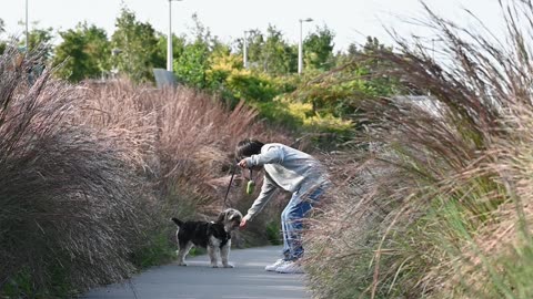 Nature and Animals