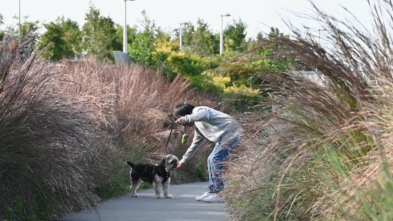 Nature and Animals