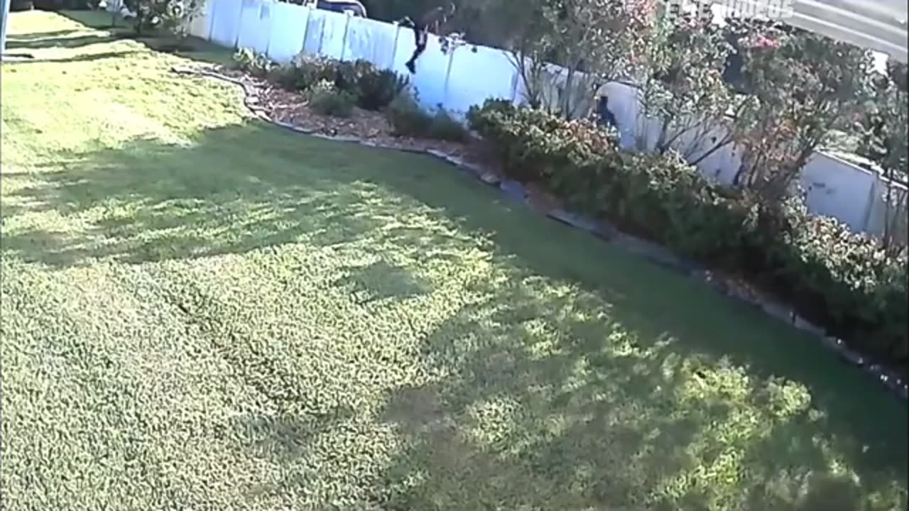 funny things caught on camera!!👁️ (compilation)