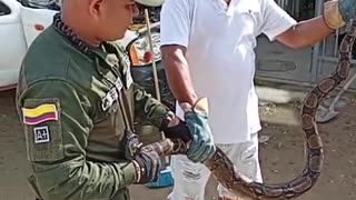serpiente en El Pozón
