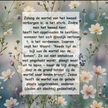 Zolang de wortel van