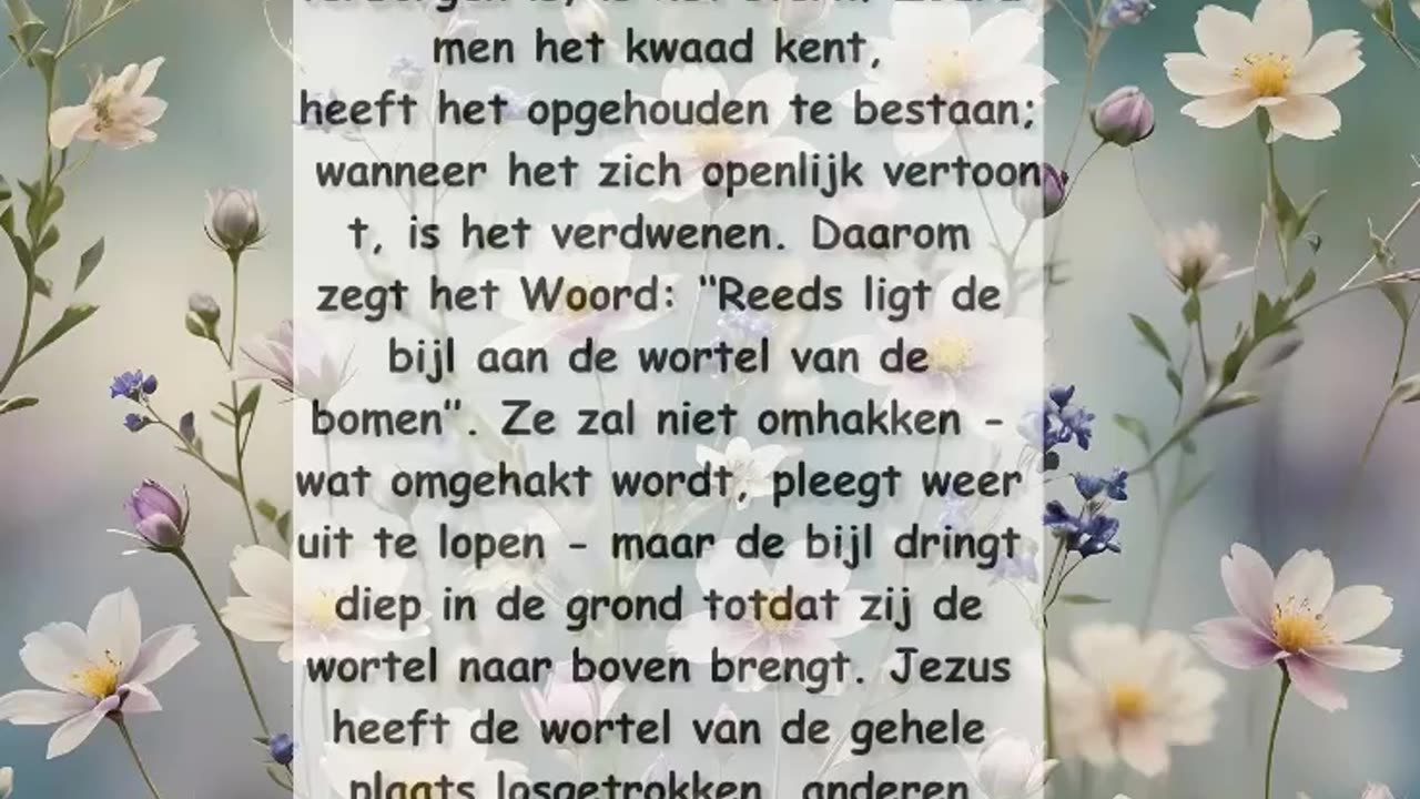 Zolang de wortel van
