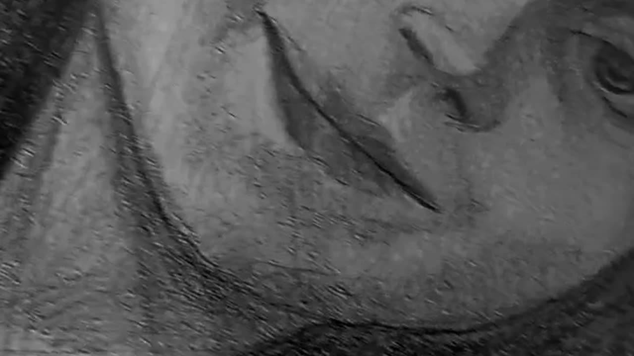 My portrait for sale 🍄😺🪴sketchbook