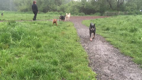 marymoor park patrol 23908420940983332