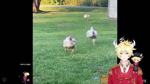 Funniest Animal videos Ever(part 1)
