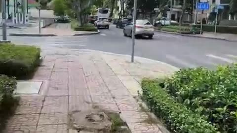 fatty demon pig - 2025 - YT - April 17th