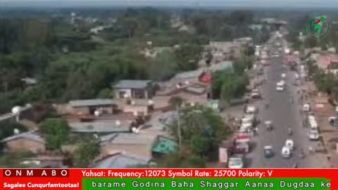 Oduu Galgala ONM-ABO Sadaasa 12-2025 itti dhiyaadhaa!