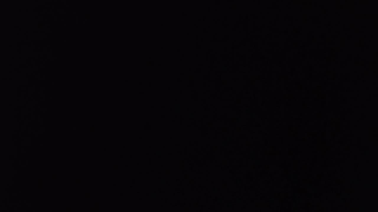 4/3/2025