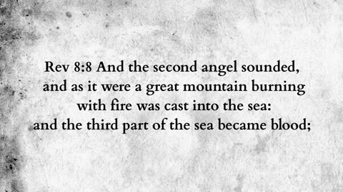 Martus Ministry -261- Third of the earth