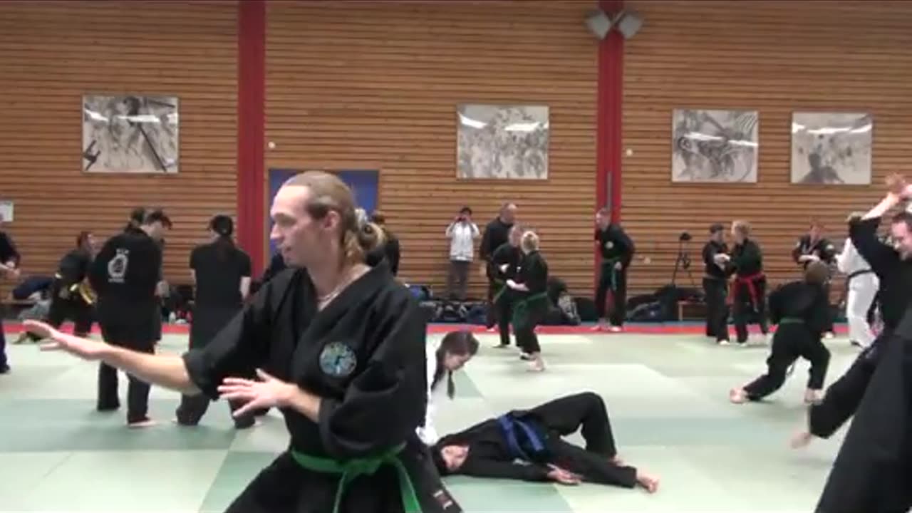 Hapkido Seminar