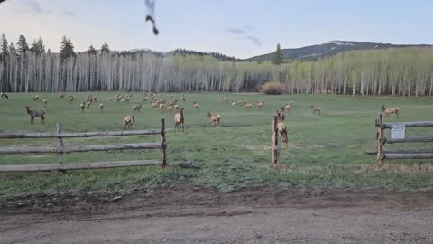 Morning traffic jam in Aspen