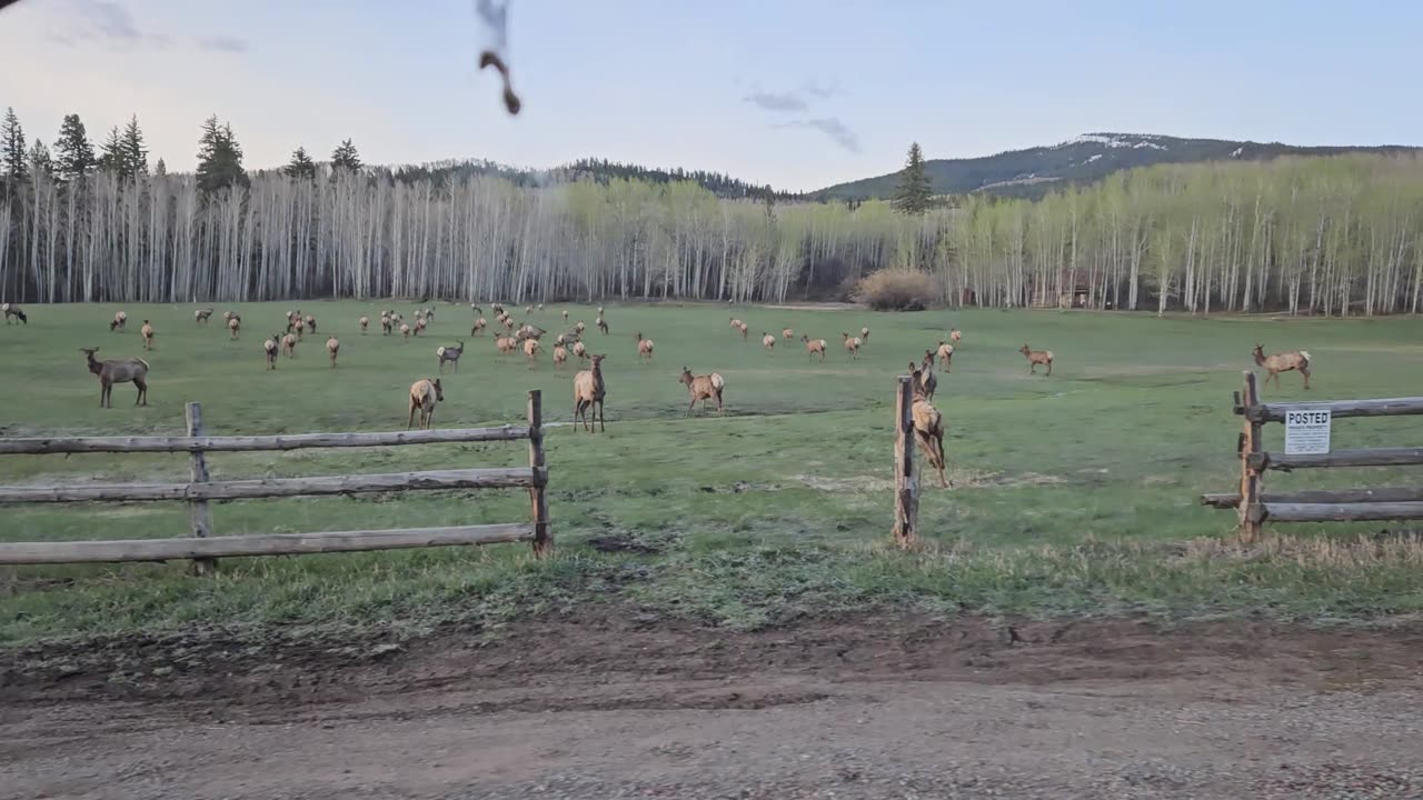 Morning traffic jam in Aspen