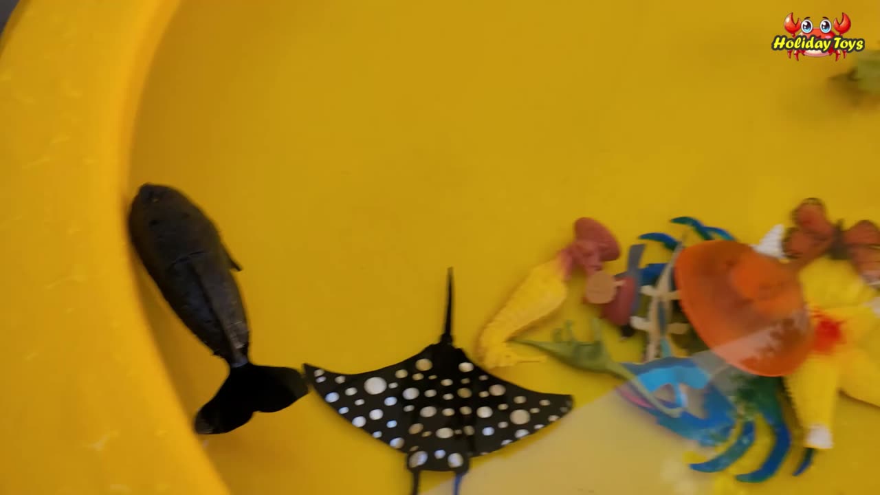 Snails Walk Under the Grass in Search of Food