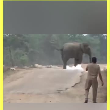 You'll catch up in a bit, right?