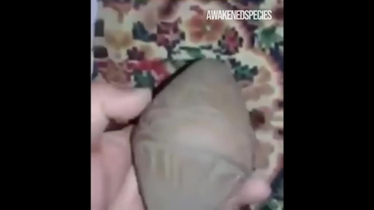 古代エジプトの石器。