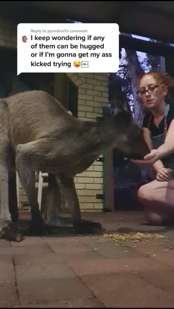 Kangaroo diaries only in Australia 🇦🇺