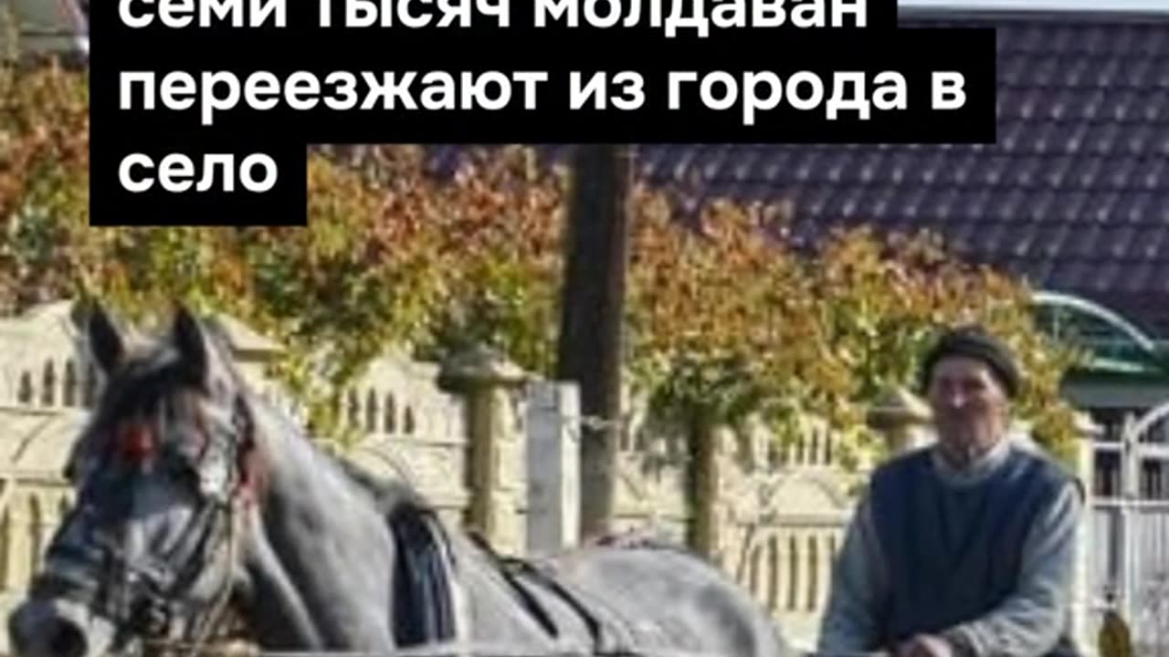 ПОЙНТ МОЛДОВА