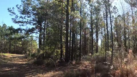 I knew she was close by.