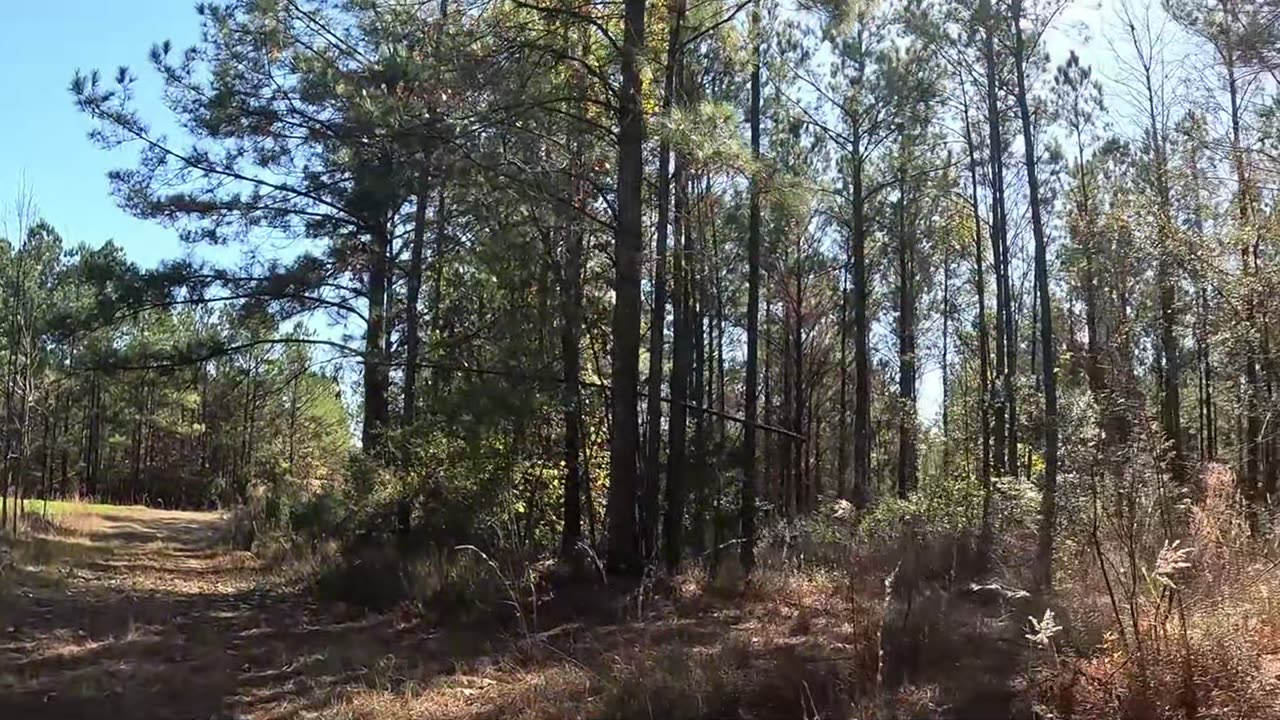 I knew she was close by.