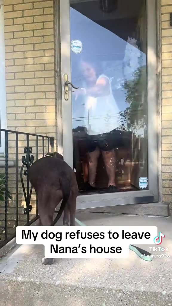 GRAMMA 🥹SATURDAY 12/6/25