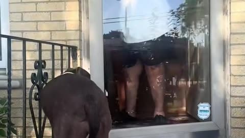 GRAMMA 🥹SATURDAY 12/6/25