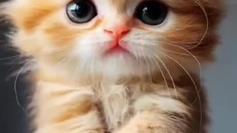 Gentle Souls: The Calming Beauty of Pets in Their Most Adorable Moments!