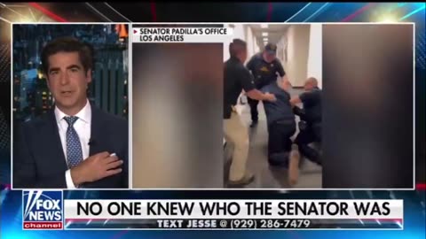 Democrat Senators Are Now Starting Their Own Riots