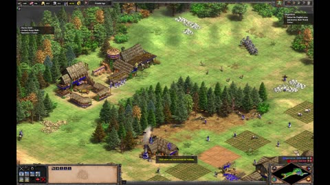 Age of Empires II