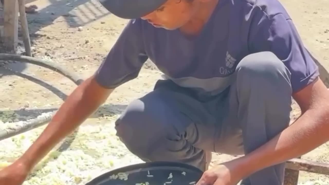 Palestine