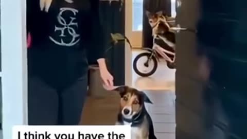 I couldn't stop laughing 😭🤣