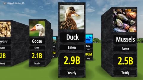 MOST EATEN ANIMALS RANKING