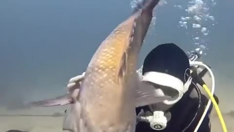 🤯🌊 You Won't Believe How Scary the Ocean Can Be! | FunFM