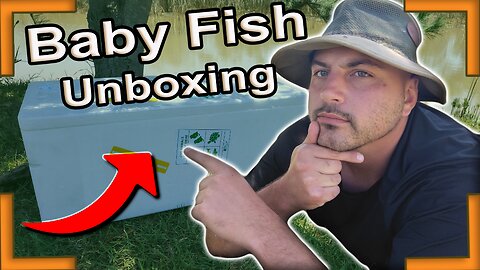 Baby koi unboxing