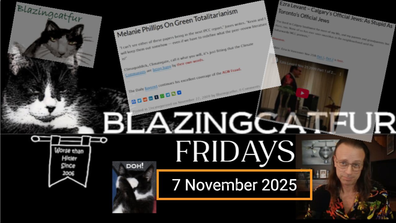 Blazing Cat Fur Fridays - November 7, 2025