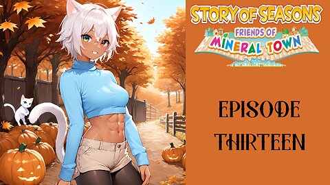 Story of Seasons Friends of Mineral Town S3 - 13
