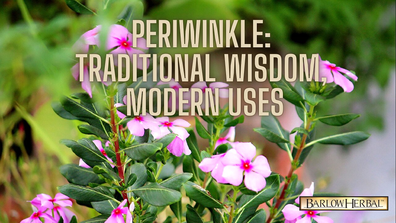 The Health Benefits of Periwinkle