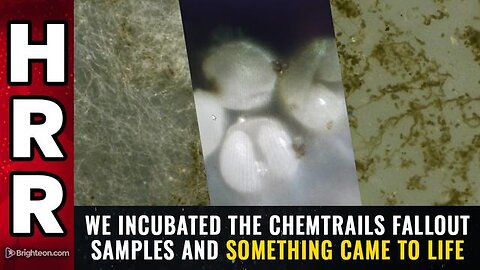 WE INCU8ATED THE CHEMTRA!LS FALL0UT SAMPLES AND SOMETHING "CAME TO LIFE"