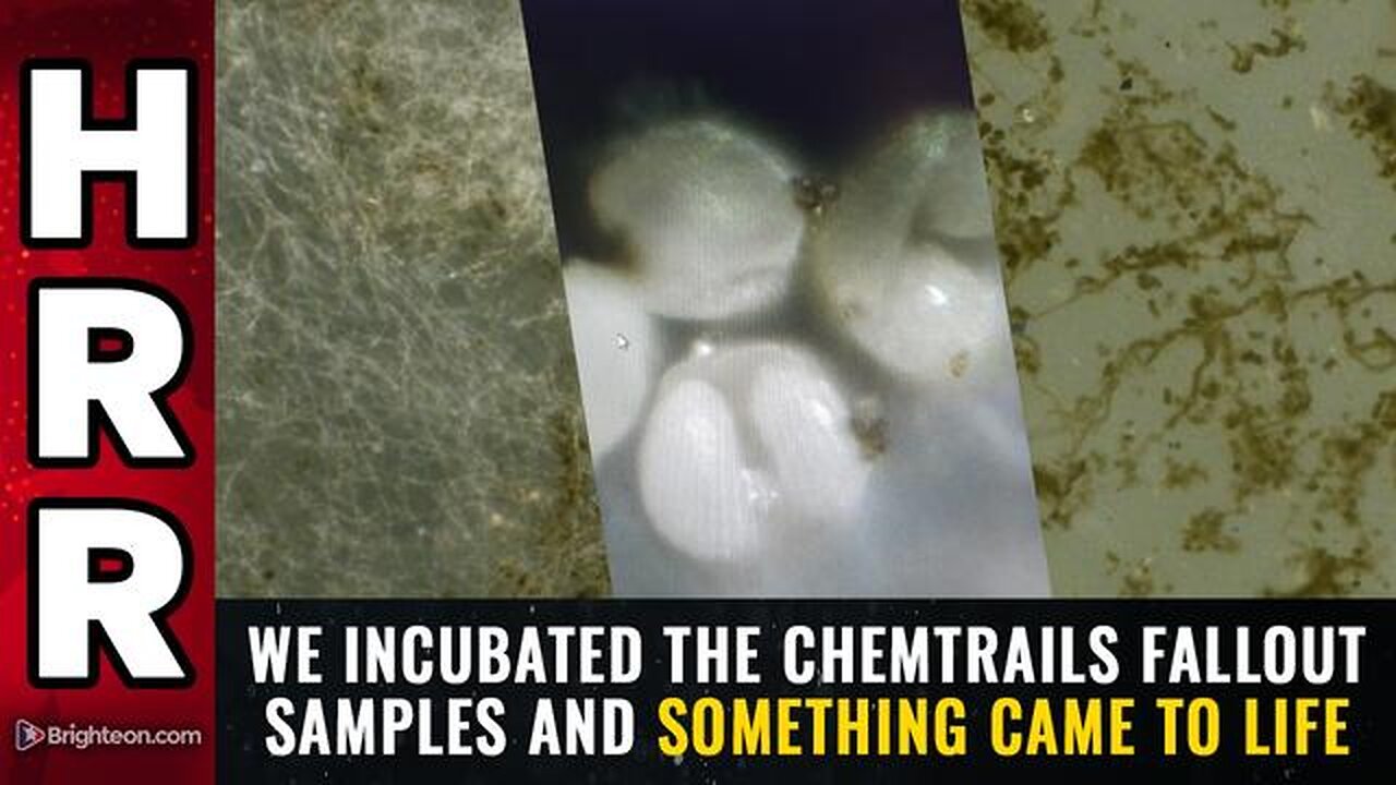 WE INCU8ATED THE CHEMTRA!LS FALL0UT SAMPLES AND SOMETHING "CAME TO LIFE"