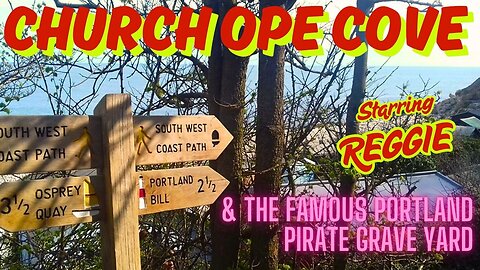 Pirate Graveyard and Secret Beach with Reggie