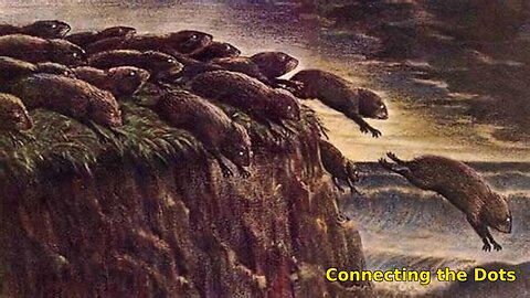 MANAGING THE HERD Part 3
