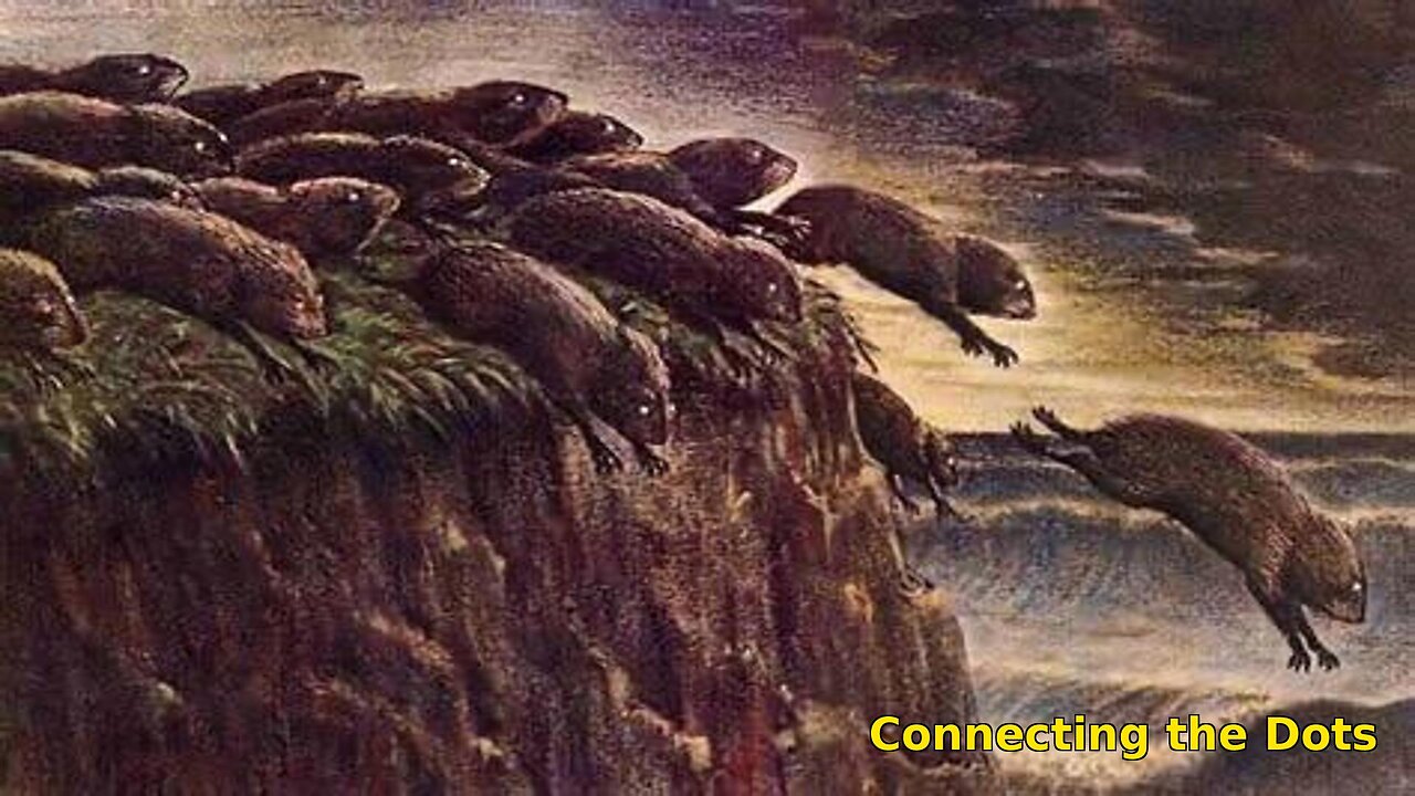 MANAGING THE HERD Part 3