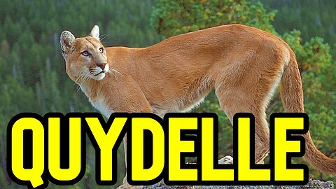 INVISIBLE COUGAR (SHORT FILM)