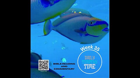 Wed, 27 Aug 2025 • Mark 9:42-9:50