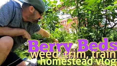 Berry Beds - Weed Trim Train
