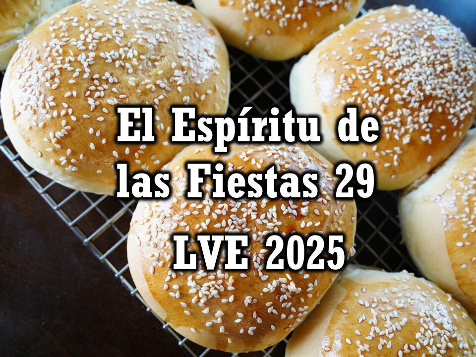El Espíritu de las Fiestas 29