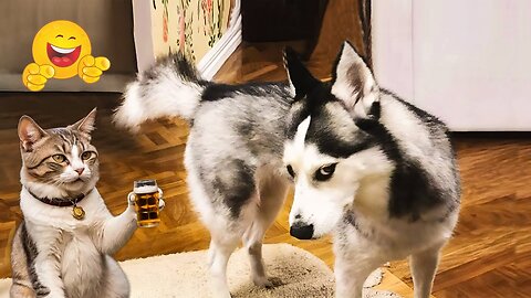 2025’s Funniest Dogs & Cats 😂 You Won’t Stop Laughing! | You Laugh You lose 😍😸😹 #Ep91