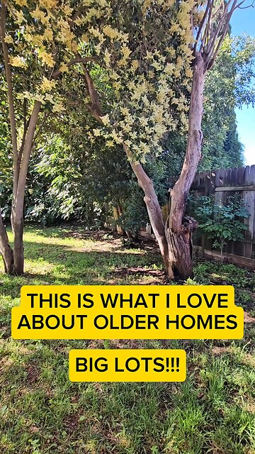 🌳✨ Dreaming of a spacious backyard?