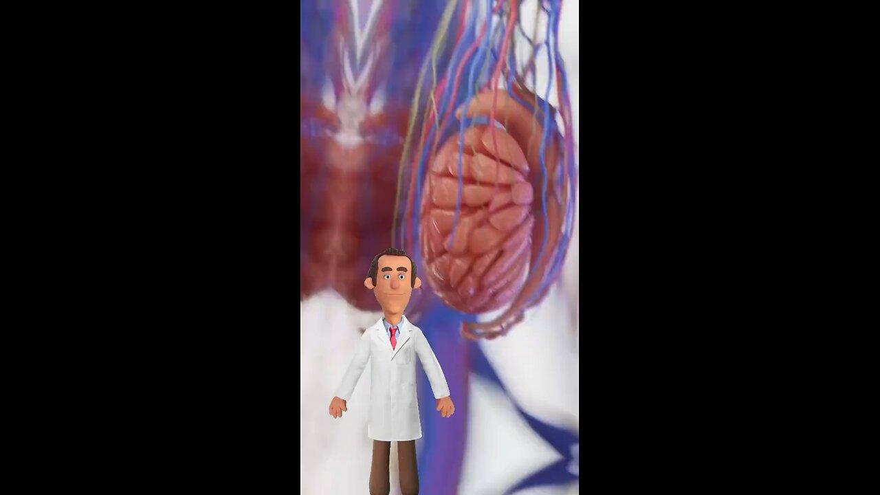 How to increase your testosterone (and stop killing