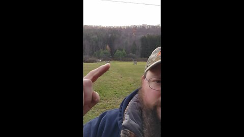 Gun range deer are different