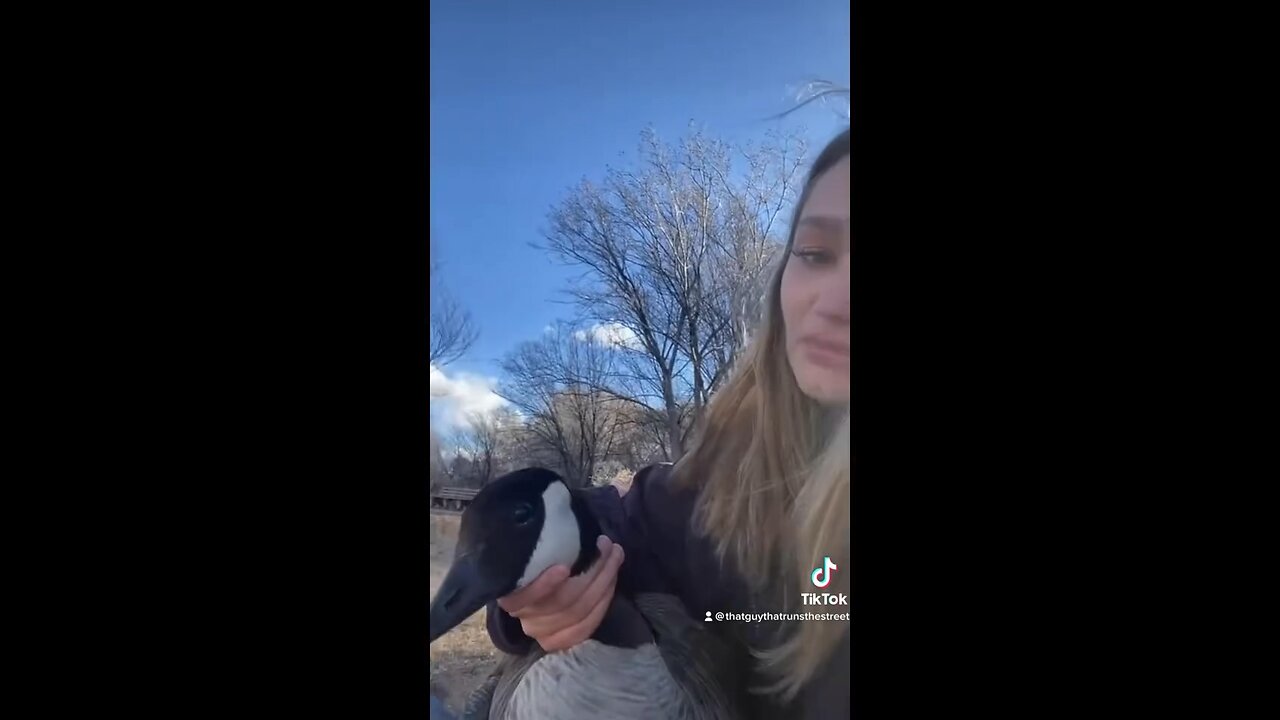 Good goose